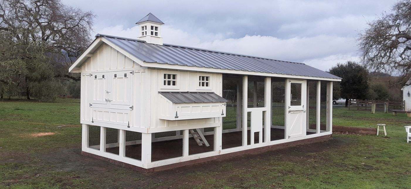 8x24 Carolina Coop with Dutch door and automatic chicken run door in Santa Rosa, CA