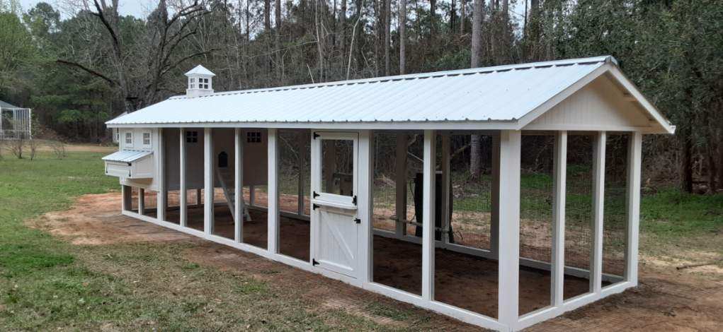 8x30 Carolina Coop with Dutch door and cupola