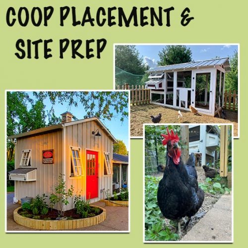COOP PLACEMENT SITE PREP THB