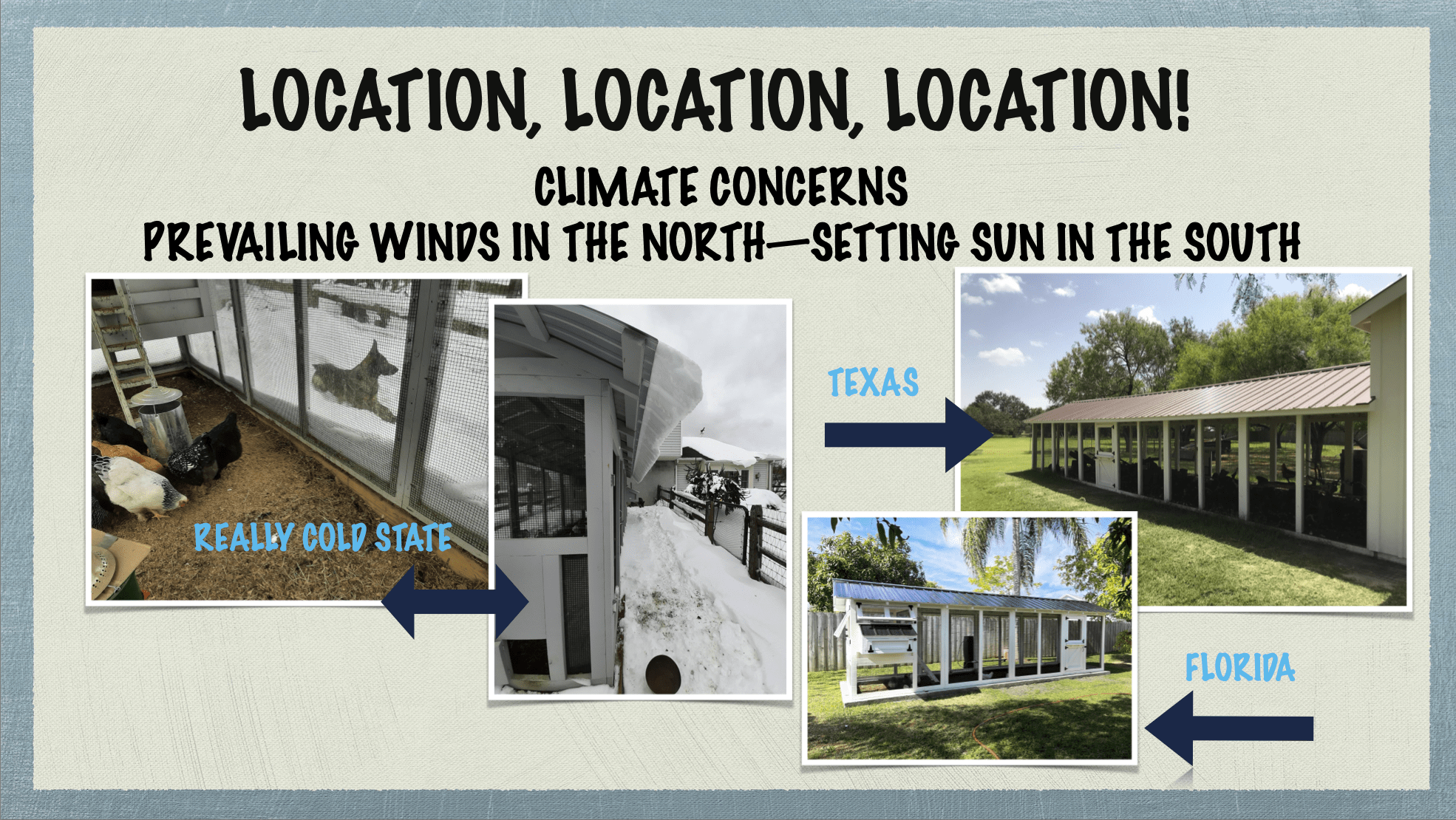 Carolina Coops - coop placement and site placement - climate concerns- winds, sun, snow