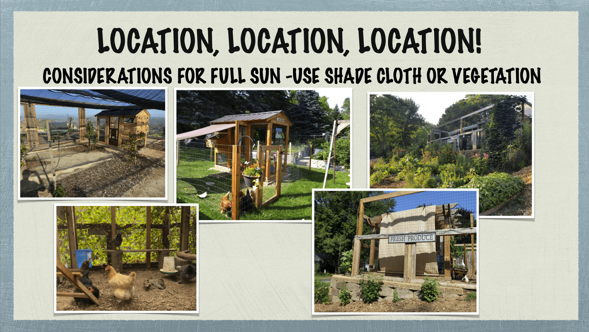Carolina Coops - coop placement and site placement - in sun use a shade cloth or grow vegetation