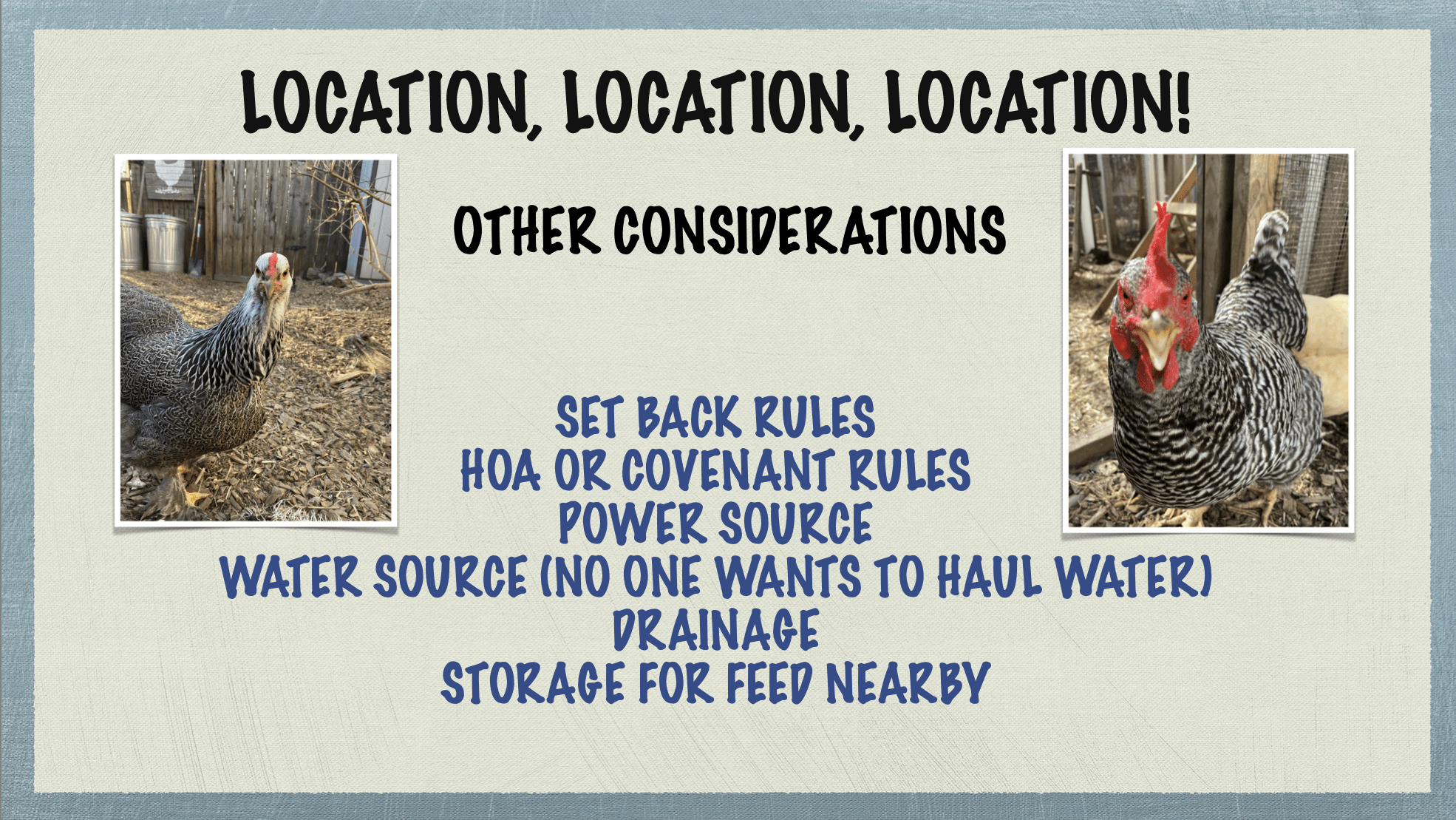 Carolina Coops - coop placement and site placement - other factors to consider
