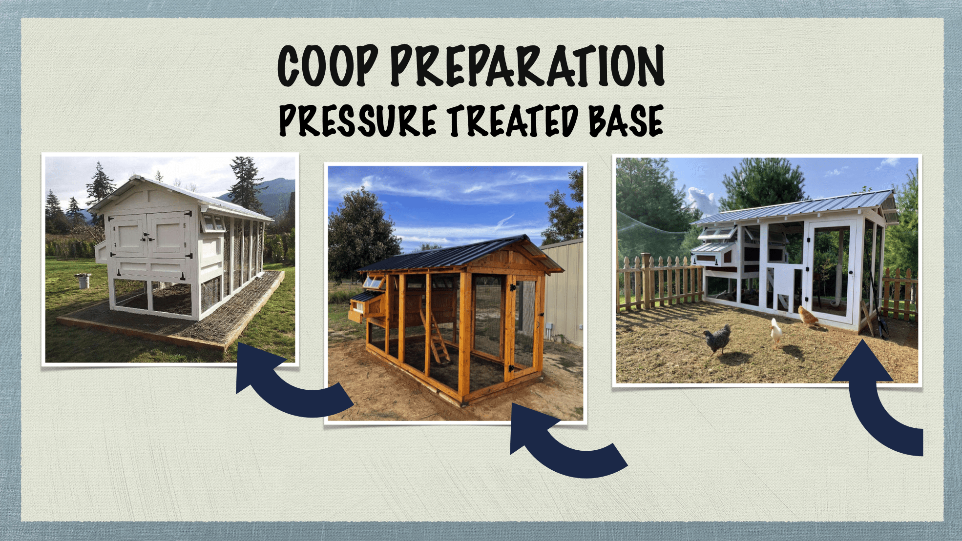 Carolina Coops - coop placement and site placement - pressure treated base