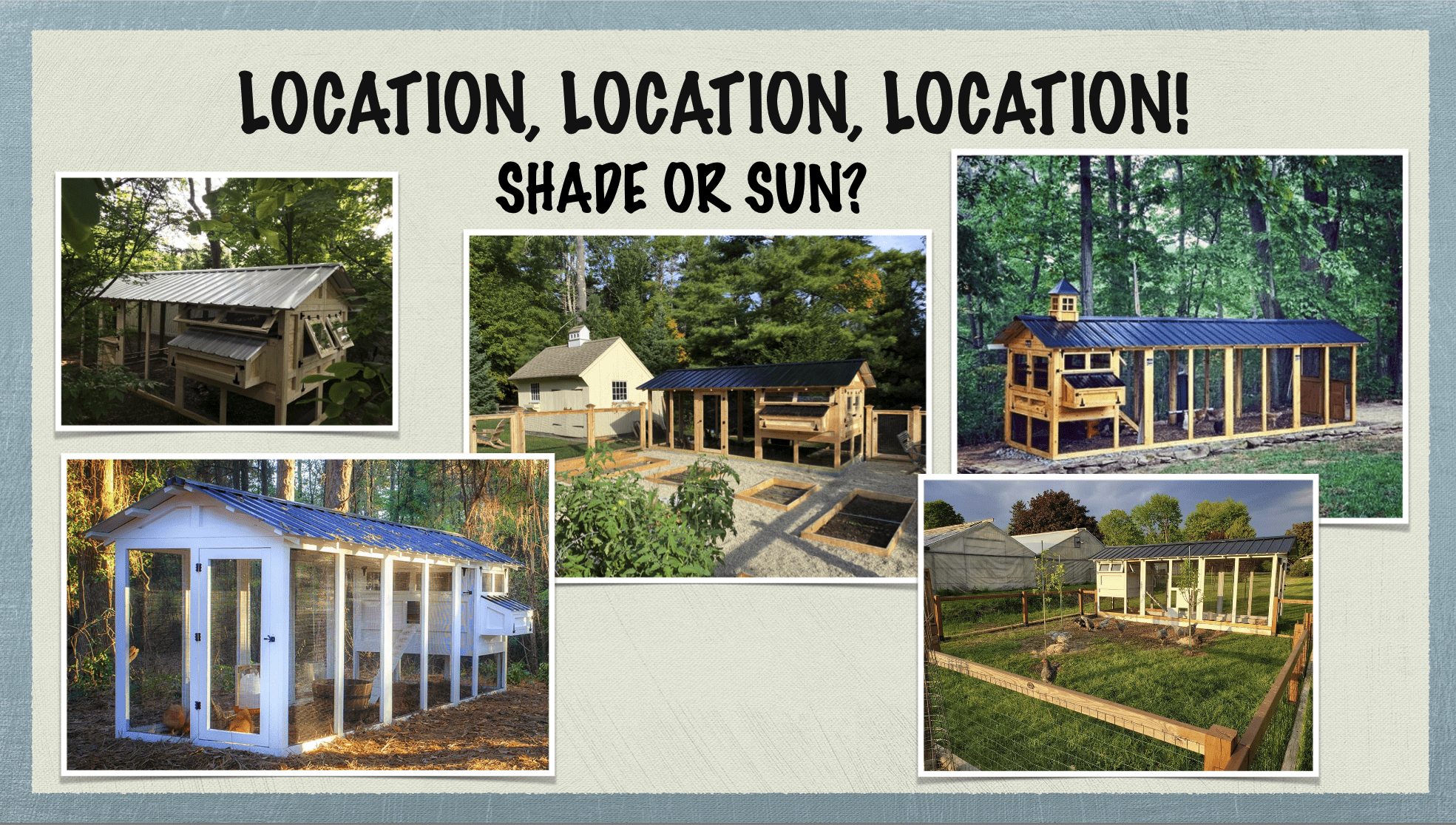 Carolina Coops - coop placement and site placement - sun or shade
