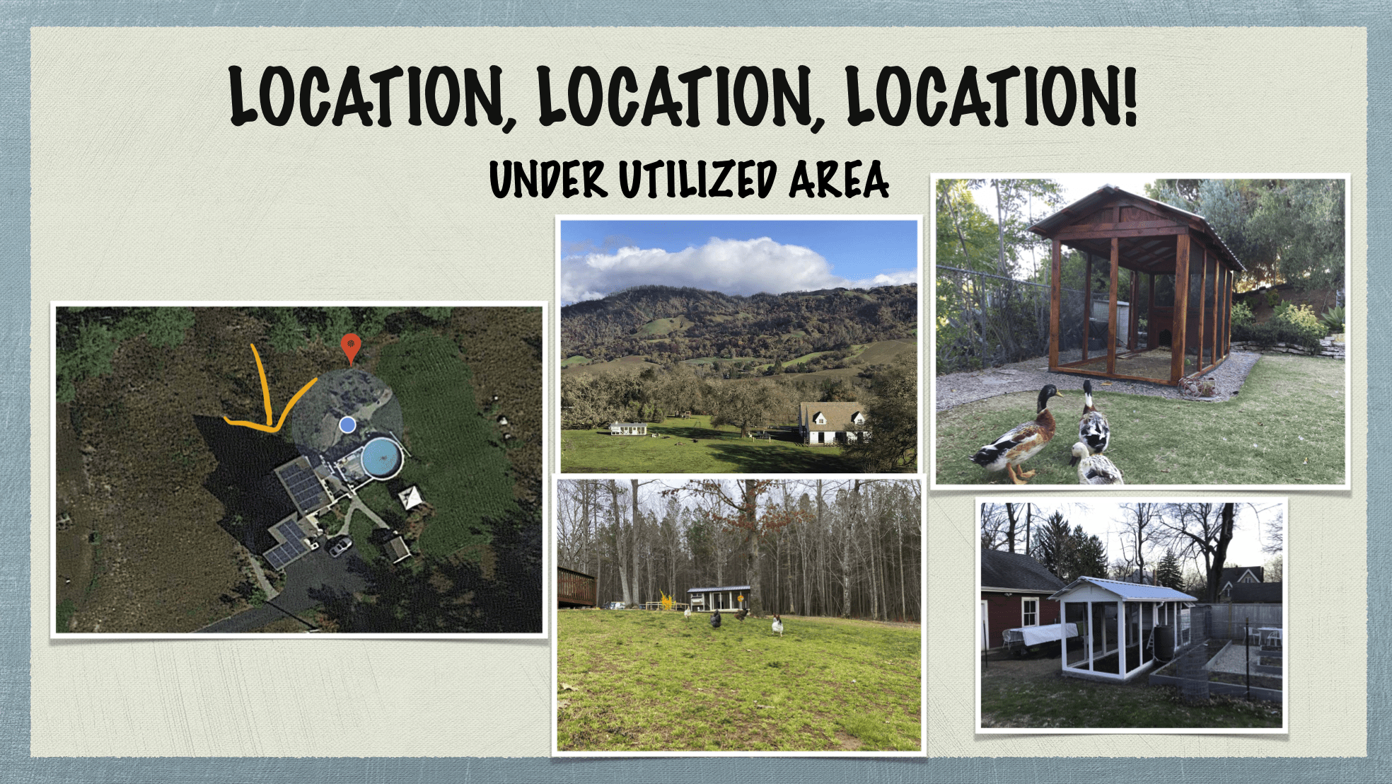Carolina Coops - coop placement and site placement - use an under utilized area