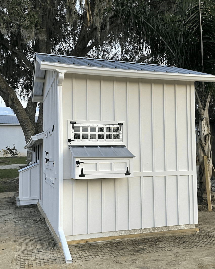 Back of 8x8x18 Craftsman Coop in Umatilla, Florida