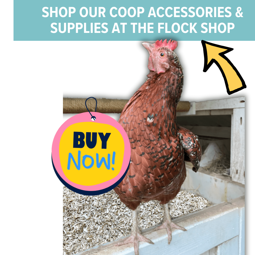 SHOP FLOCKSHOP
