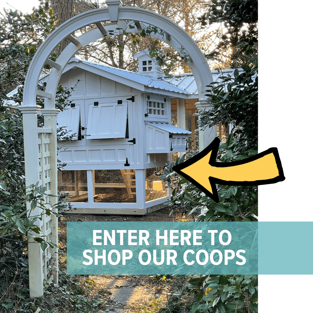 SHOP OUR CHICKEN COOPS